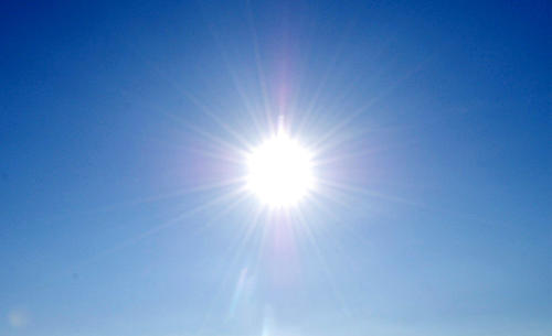 Sole